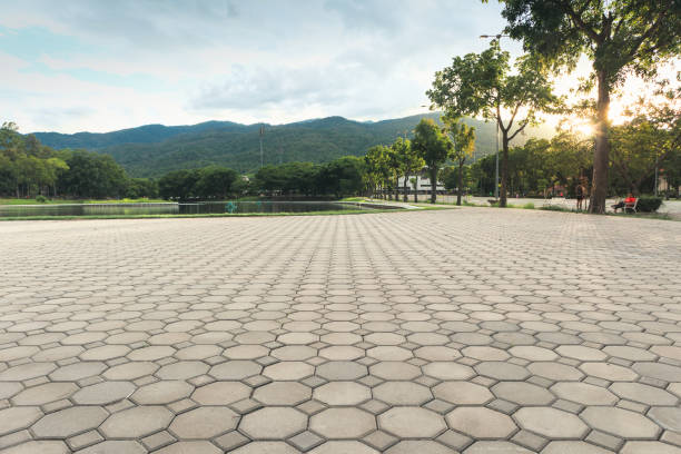 Best Affordable Driveway Paving  in Tipton, MO